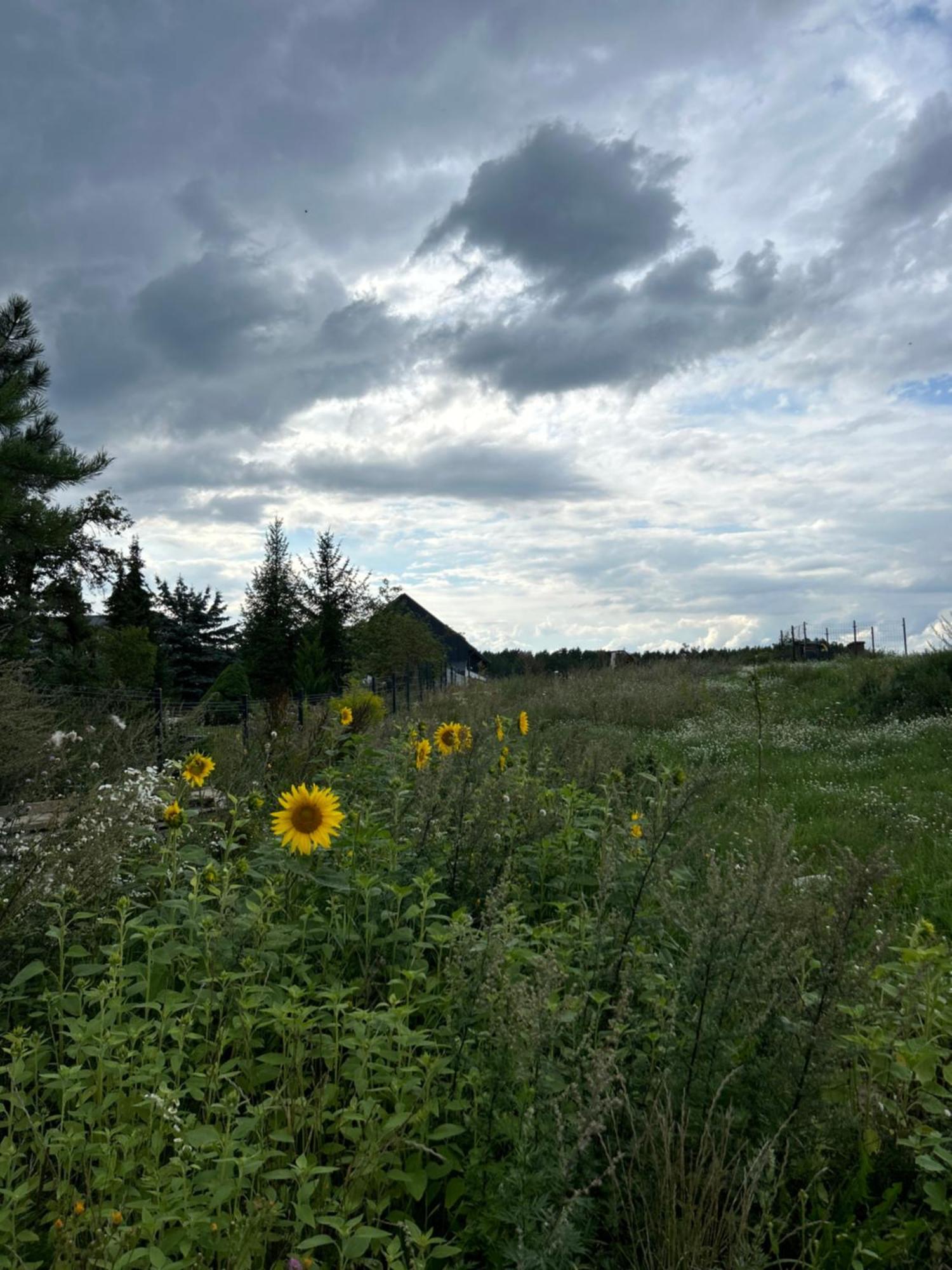 Koniec Swiata Nowa Stodola Mikołajki Exterior foto